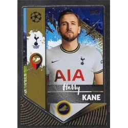 Harry Kane Golden Goalscorer Tottenham Hotspur 471