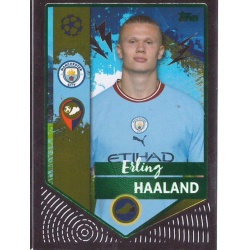 Erling Haaland Green Manchester City 330