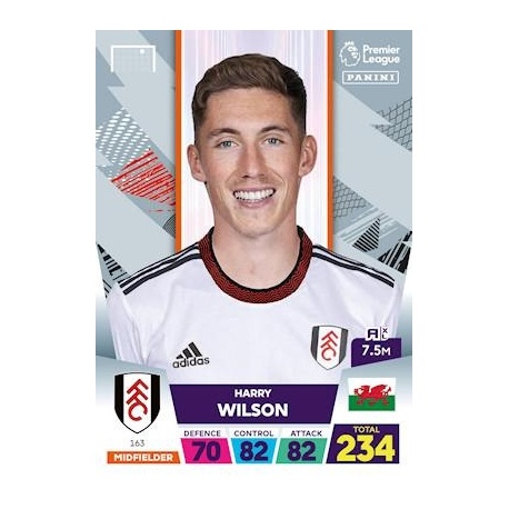Harry Wilson Fulham 163