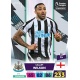 Callum Wilson Newcastle United 276