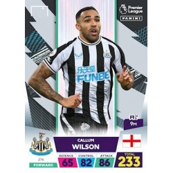Callum Wilson Newcastle United 276