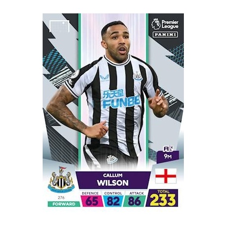 Callum Wilson Newcastle United 276