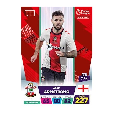 Adam Armstrong Southampton 313