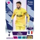 Hugo Lloris Tottenham Hotspur 317