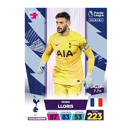 Hugo Lloris Tottenham Hotspur 317