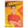 Comprar Online Pau Torres ¡Vamos! Los Ídolos de la Roja - Cracks Mundiales