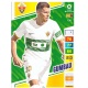 Gumbau Elche 136