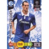 Sale Cards Christoph Metzelder FC Schalke 04 Panini Adrenalyn XL Champions League 2010 11