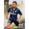 Buy Cards Yuto Nagatamo Inter Milan Panini Adrenalyn XL Champions League 2011-12
