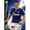 Buy Cards Kyriakos Papadopoulos Schalke 04 Adrenalyn XL Champions League 2012-13