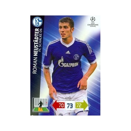 Roman Neustädter Schalke 04 110
