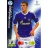 Soccer Cards  Roman Neustädter Schalke 04 Adrenalyn XL Champions League 2012/13 Update Edition