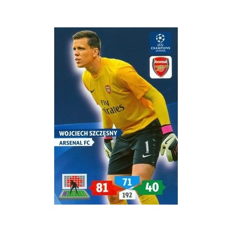 Wojciech Szczesny Arsenal 46