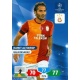 Hamit Altintop Galatasaray 139