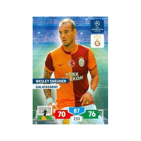 Wesley Sneijder Galatasaray 143