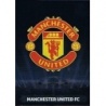 Venta Cromo Team Logo Manchester United Adrenalyn XL Champions League 2013/14