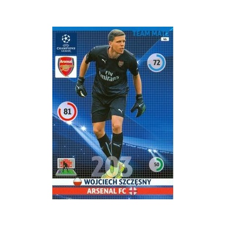 Wojciech Szczęsny Arsenal 46