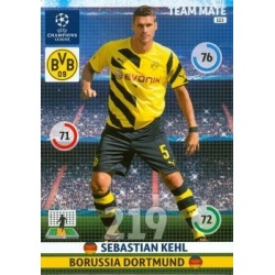 Sebastian Kehl Borussia Dortmund 113