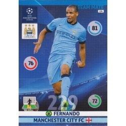 Fernando Manchester City 174