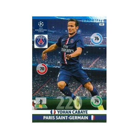Yohan Cabaye PSG 202