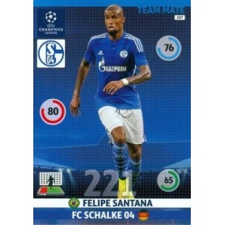 Felipe Santana Schalke 04 227