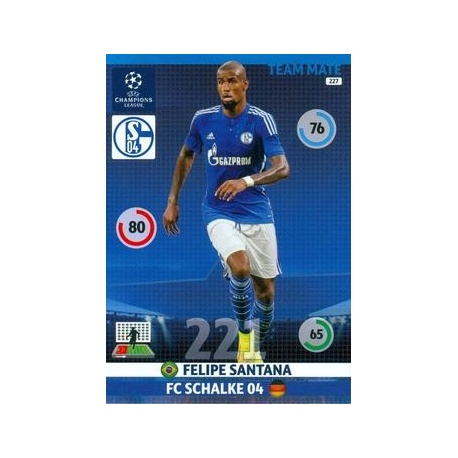 Felipe Santana Schalke 04 227