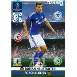 Roman Neustädter Schalke 04 230
