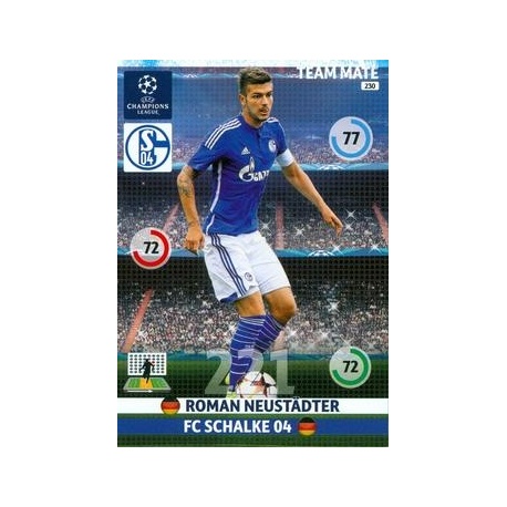 Roman Neustädter Schalke 04 230