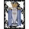 Venta Cromo de Premier League Trophy Panini Premier League 2023 Stickers