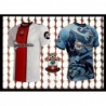 Comprar Cromos Southampton Home and Away Kit Premier League Stickers 2023