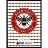 Sale Sticker of Club Badge Brentford Panini Premier League 2023 Stickers