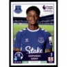 Cromos de Fútbol Demarai Gray Everton Premier League Stickers 2023
