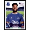 Cromos de Fútbol Andros Townsend Everton Premier League Stickers 2023