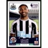 Comprar Online Callum Wilson Newcastle United Panini Premier League 2023 Stickers