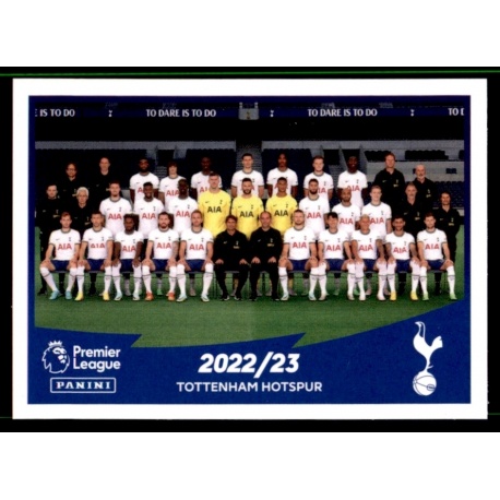 Tottenham Hotspur FC Team Players Poster 