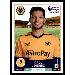Raúl Jiménez Wolverhampton Wanderers 623