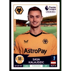 Saša Kalajdžić Wolverhampton Wanderers 627