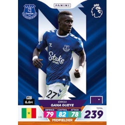 Idrissa Gana Gueye Everton 148