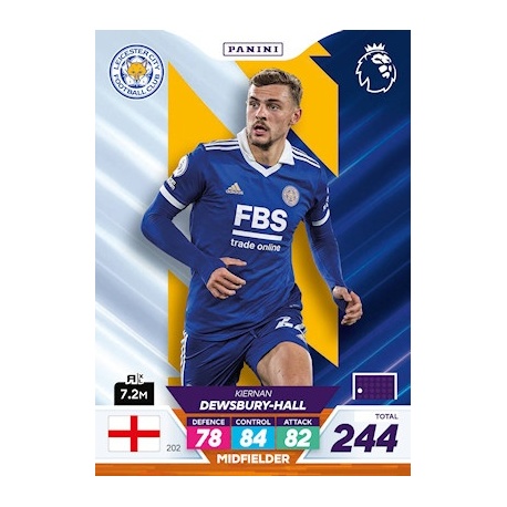 Kiernan Dewsbury-Hall Leicester City 202
