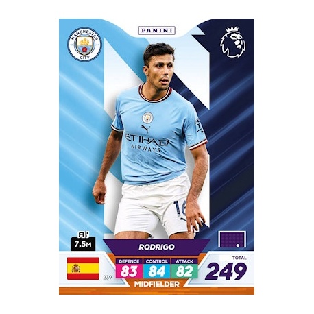 Rodrigo Manchester City 239