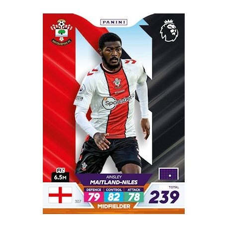 Ainsley Maitland-Niles Southampton 307