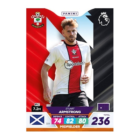 Stuart Armstrong Southampton 309