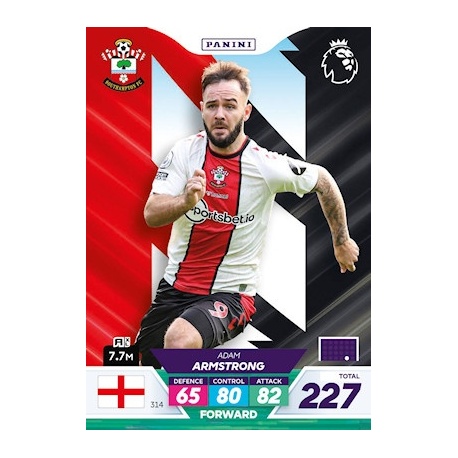 Adam Armstrong Southampton 314