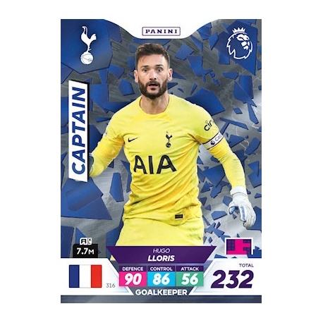 Hugo Lloris Captain Tottenham Hotspur 316