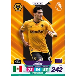 Raúl Jiménez Wolverhampton Wanderers 364