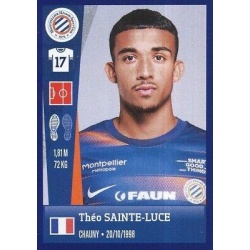 Théo Sainte-Luce Montpellier Hérault SC 271