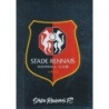 Venta Cromo de Écusson Stade Rennais FC Panini Foot 2023 Album