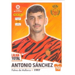 Antonio Sánchez Mallorca 281