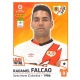Radamel Falcao Rayo Vallecano 330