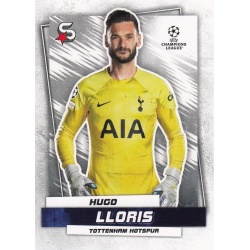 Hugo Lloris Tottenham Hotspur 29